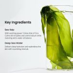 ماسک تسکین دهنده جلبک دریایی بایودنس | Biodance Marine Algae Soothing Mask - Image 2