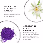 شامپو ضد زردی ویولت فیتو | Phyto Violet Shampoo - Image 4