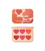 پالت رژگونه کرمی شیگلم