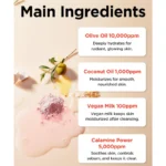 شوینده روغنی توکوبو