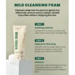 فوم شستشوی سیکا سئول ۱۹۸۸