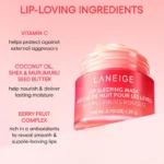 ماسک لب شب لانیژ مدل Berry (توت‌فرنگی) 20 گرم