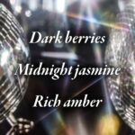 بادی واش/شامپو بدن اینتو د نایت بث اند بادی | Bath & Body Works Into The Night Body Wash - Image 4