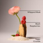 لوسیون بدن سوییتست سانگ بث اند بادی | Bath & Body Works Sweetest Song Body lotion - Image 2