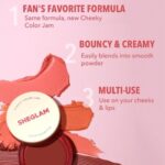 ست 6 عددی رژ گونه cheeky color jam شیگلم - Image 4