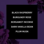 بادی واش/شامپو بدن دارک کیس بث اند بادی | Bath & Body Works Dark Kiss0 Body Wash - Image 2