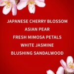 بادی/واش شامپو بدن جاپانیز چری بلوسوم بث اند بادی | Bath & Body Works Japanese Cherry Blossom Body Wash - Image 3
