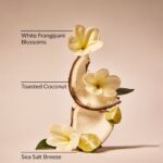 لوسیون بدن ات د بیچ بث اند بادی | Bath & Body Works At The Beach Body lotion - Image 3