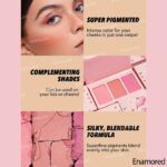 پالت۳ رنگ رژ گونه پودری شیگلم enamored - Image 4