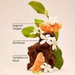 لوسیون بدن این د استارز بث اند بادی | Bath & Body Works In The Stars Body lotion - Image 4