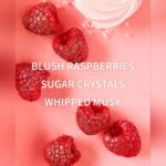 بادی واش/شامپو بدن سوییت سانگ بث اند بادی | Bath & Body Works Sweet Song Body Wash - Image 3